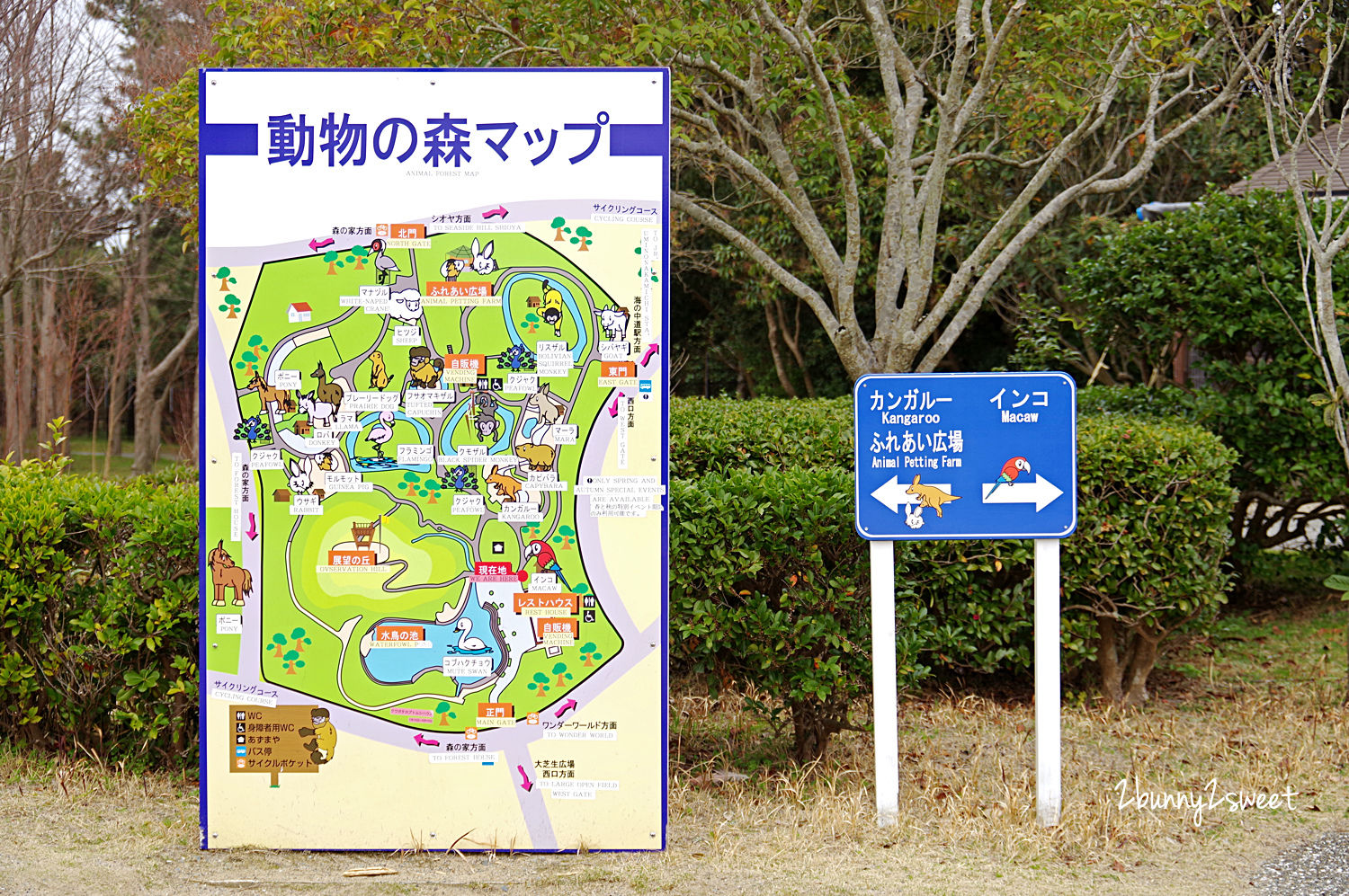 【海之中道海濱公園】福岡親子景點推薦｜300公頃國營公園、動物園、水樂園、花海一次玩 @兔兒毛毛姊妹花