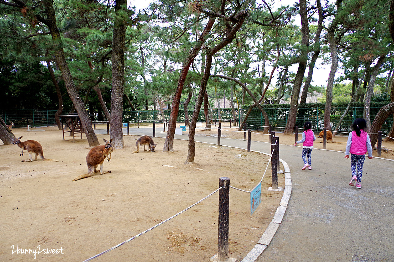 【海之中道海濱公園】福岡親子景點推薦｜300公頃國營公園、動物園、水樂園、花海一次玩 @兔兒毛毛姊妹花