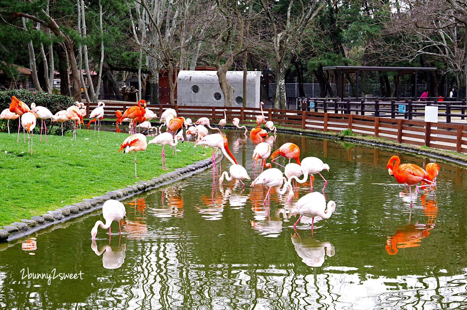 【海之中道海濱公園】福岡親子景點推薦｜300公頃國營公園、動物園、水樂園、花海一次玩 @兔兒毛毛姊妹花