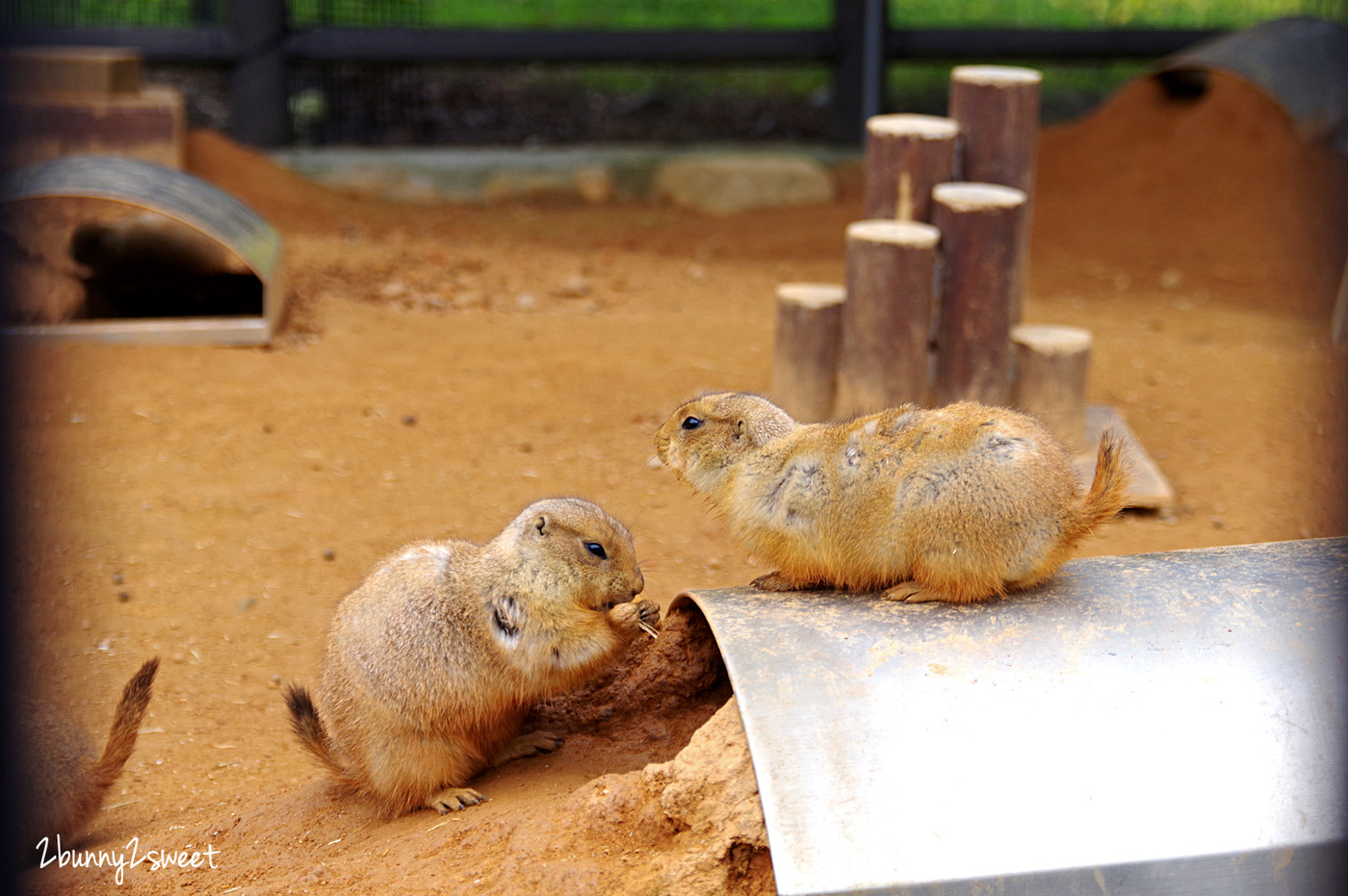 【海之中道海濱公園】福岡親子景點推薦｜300公頃國營公園、動物園、水樂園、花海一次玩 @兔兒毛毛姊妹花
