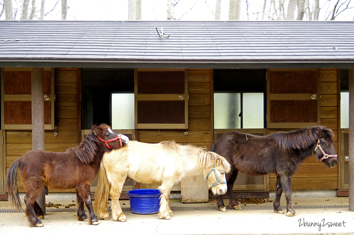 【海之中道海濱公園】福岡親子景點推薦｜300公頃國營公園、動物園、水樂園、花海一次玩 @兔兒毛毛姊妹花