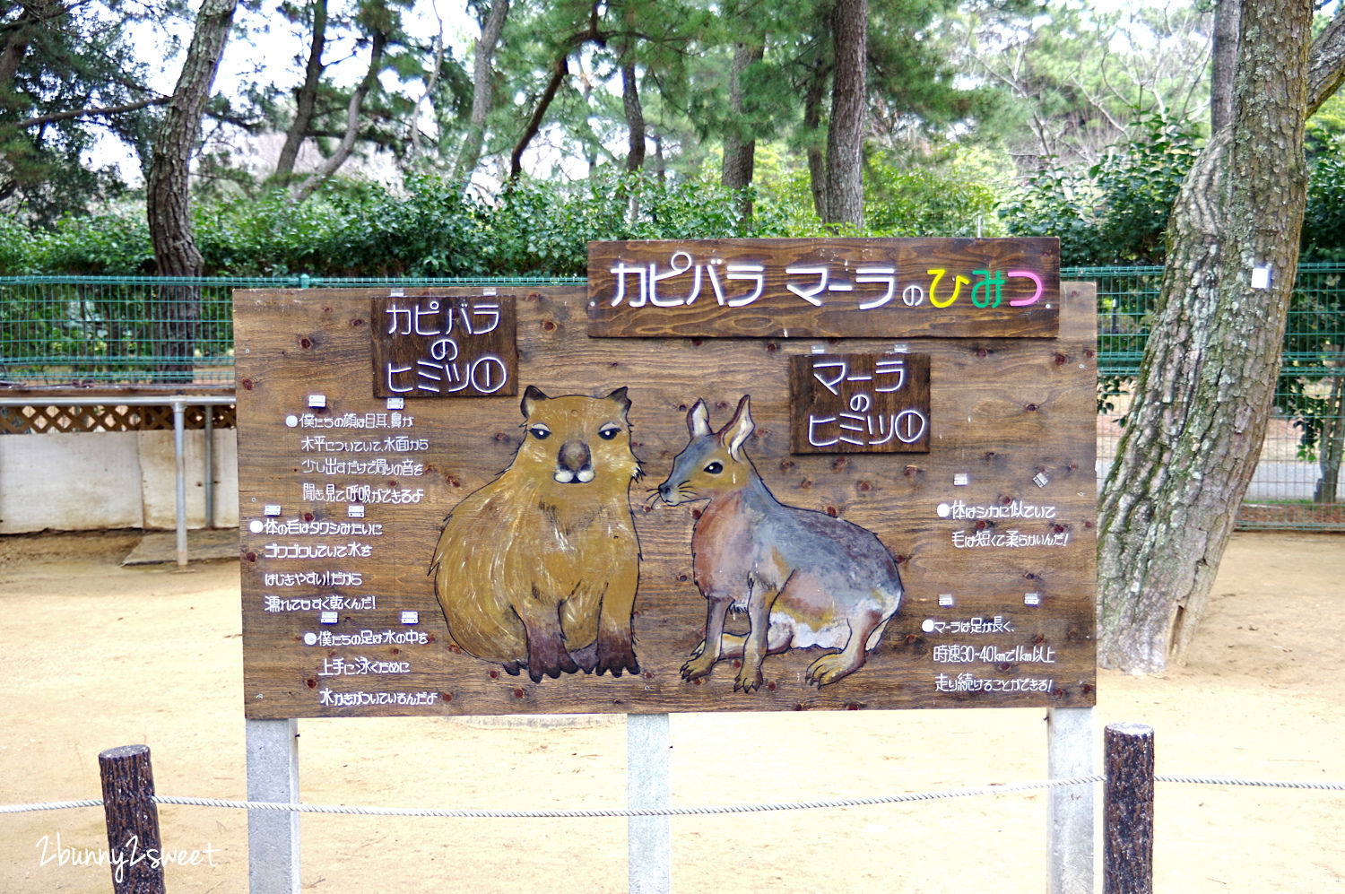 【海之中道海濱公園】福岡親子景點推薦｜300公頃國營公園、動物園、水樂園、花海一次玩 @兔兒毛毛姊妹花