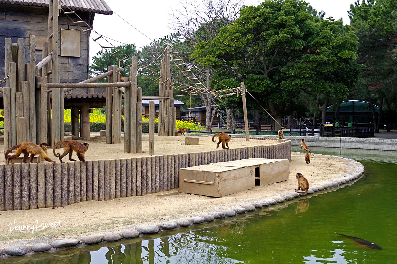 【海之中道海濱公園】福岡親子景點推薦｜300公頃國營公園、動物園、水樂園、花海一次玩 @兔兒毛毛姊妹花
