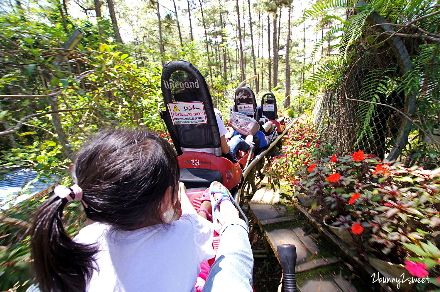 [越南｜大叻。親子景點] 達坦拉瀑布｜Datala Falls~搭乘刺激的高山過山車穿梭森林間，漫步在鳥叫蟲鳴溪水聲伴奏的芬多精步道｜誠旺旅行社 愛越芽莊｜芽莊直航｜山坡滑車 @兔兒毛毛姊妹花