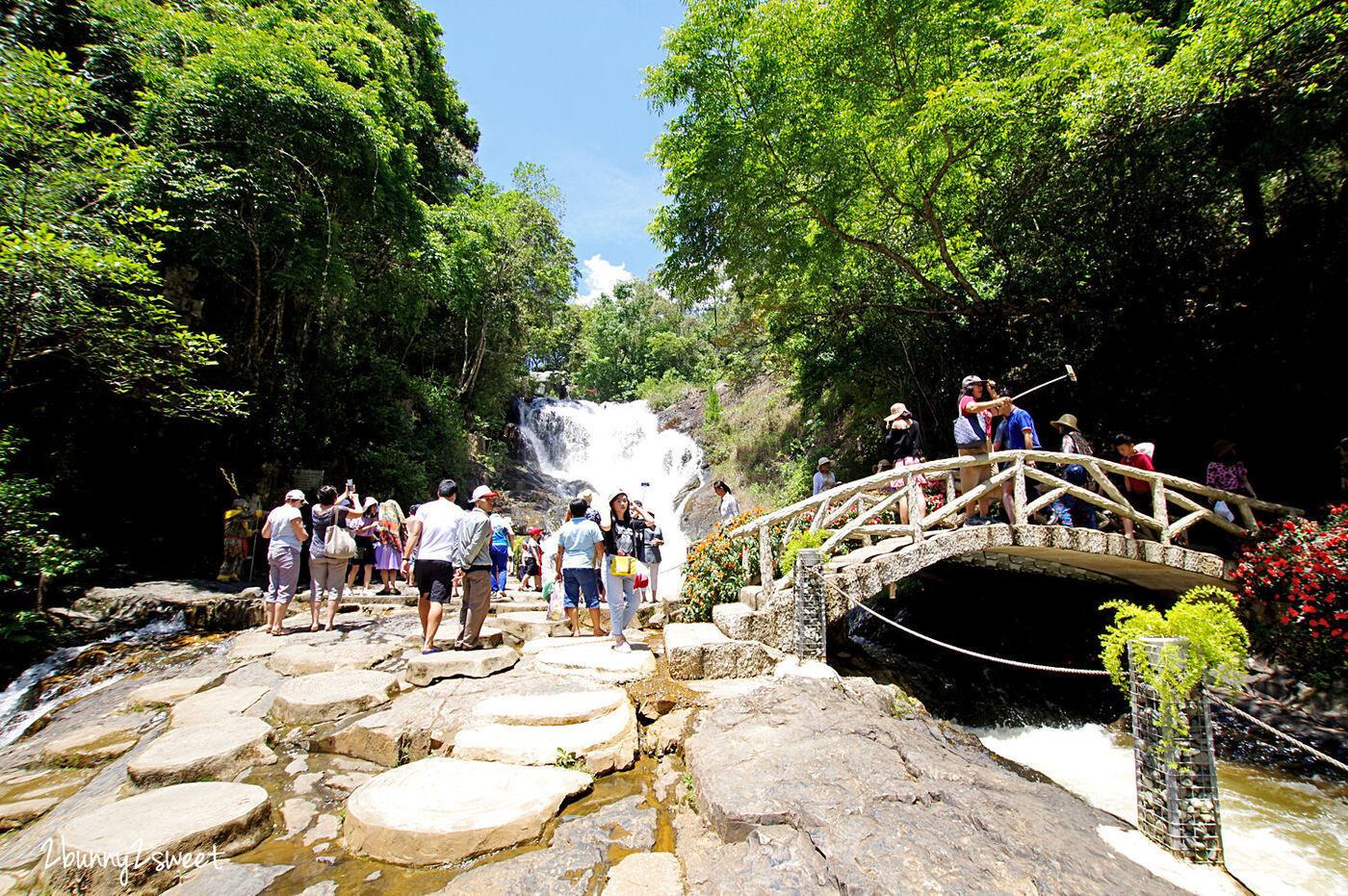 [越南｜大叻。親子景點] 達坦拉瀑布｜Datala Falls~搭乘刺激的高山過山車穿梭森林間，漫步在鳥叫蟲鳴溪水聲伴奏的芬多精步道｜誠旺旅行社 愛越芽莊｜芽莊直航｜山坡滑車 @兔兒毛毛姊妹花
