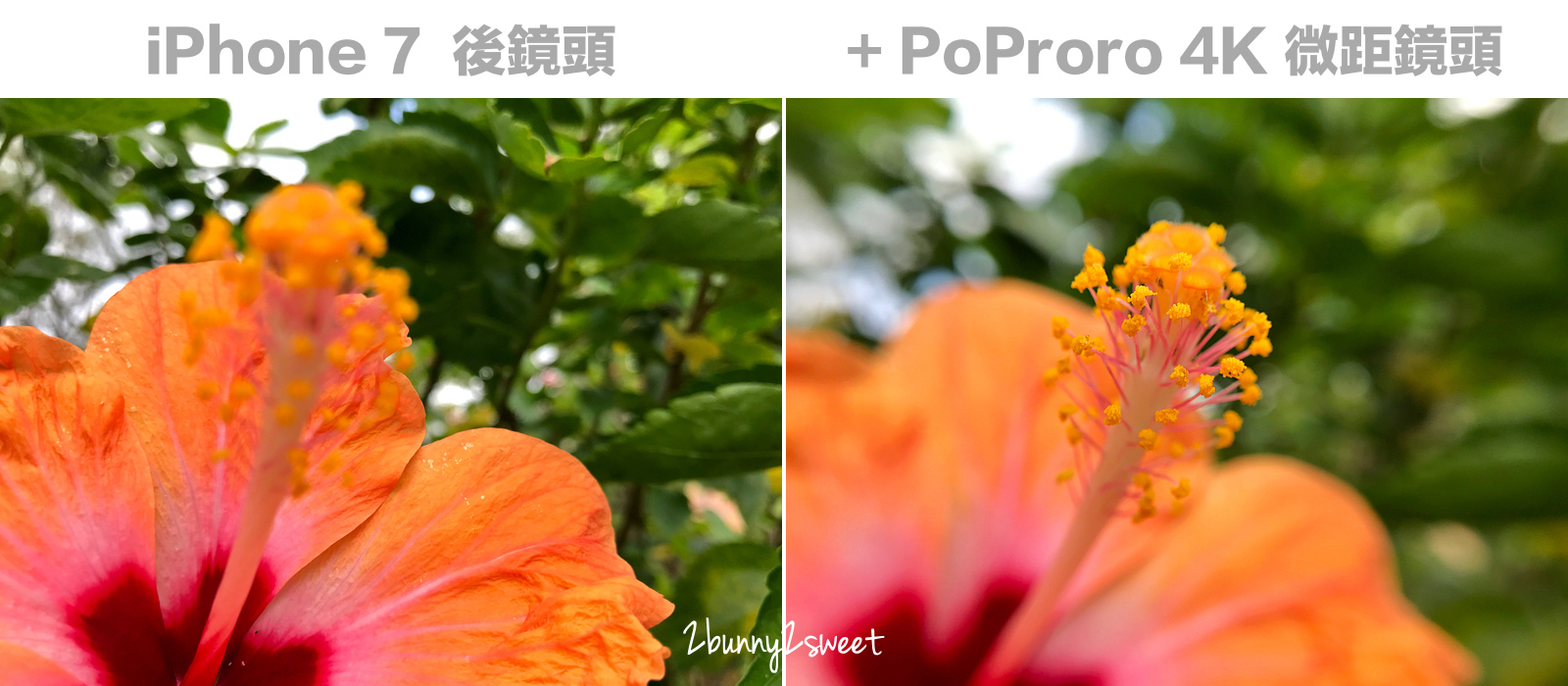 [3C好物。開箱] PoProro 4K 單眼級手機鏡頭～輕鬆一夾手機鏡頭可以拍廣角、拍微距，畫質清晰、無暗角、不變形～自拍連人帶景美照、生態觀察超微距照必備神器｜手機攝影｜手機廣角鏡 @兔兒毛毛姊妹花