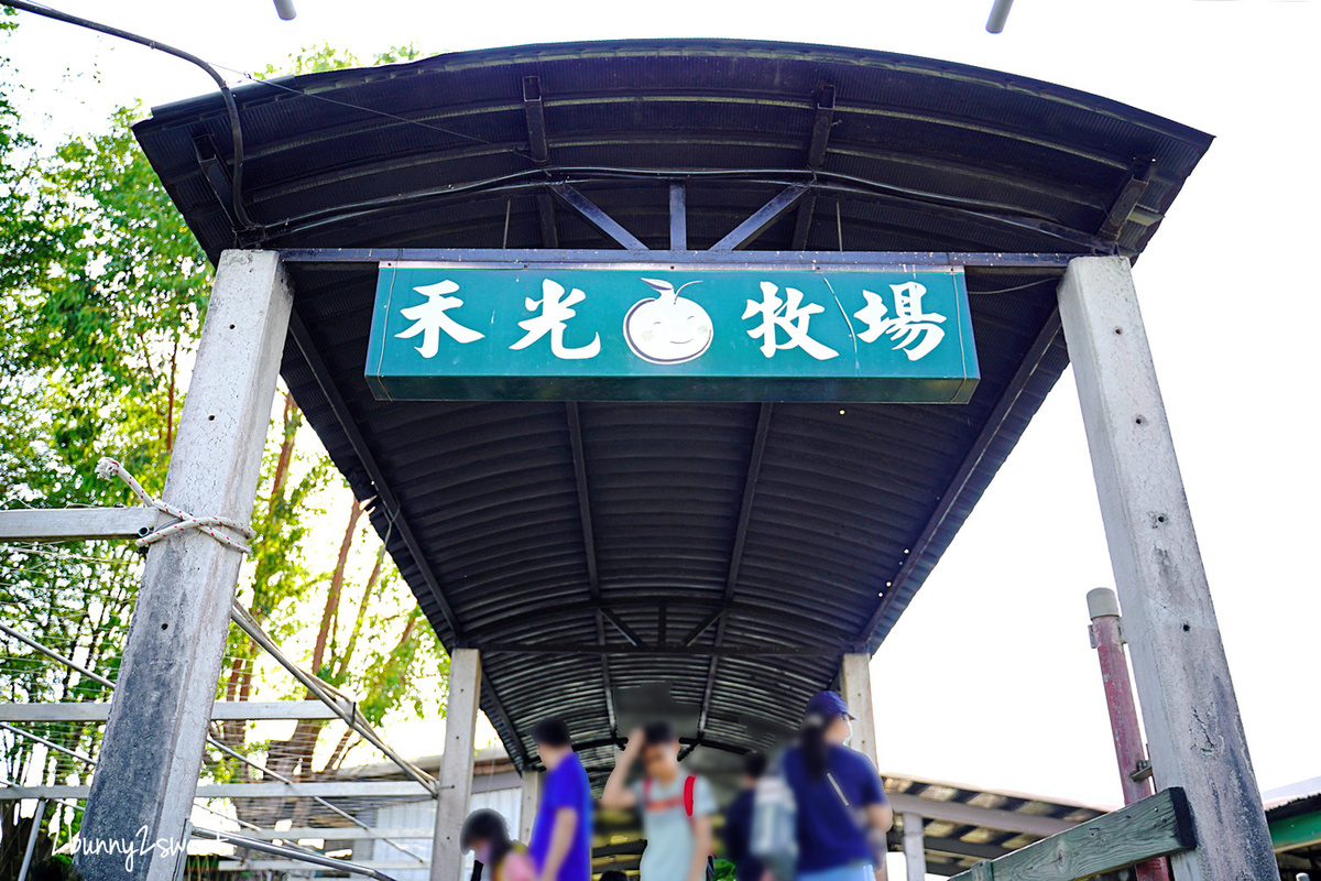 高雄景點「禾光牧場羊咩咩的家」全台最佛心餵羊牧場～免門票、免費餵羊、擠羊奶、玩沙坑 @兔兒毛毛姊妹花