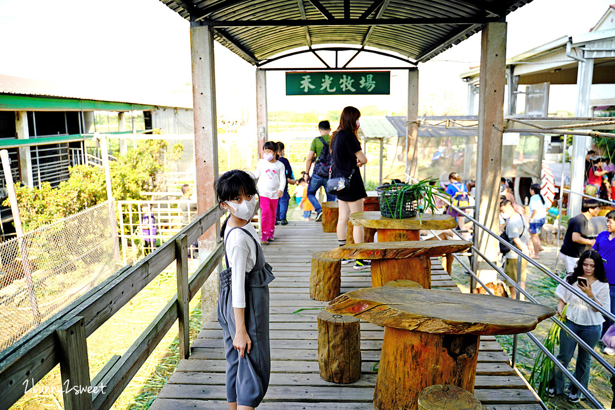 高雄景點「禾光牧場羊咩咩的家」全台最佛心餵羊牧場～免門票、免費餵羊、擠羊奶、玩沙坑 @兔兒毛毛姊妹花