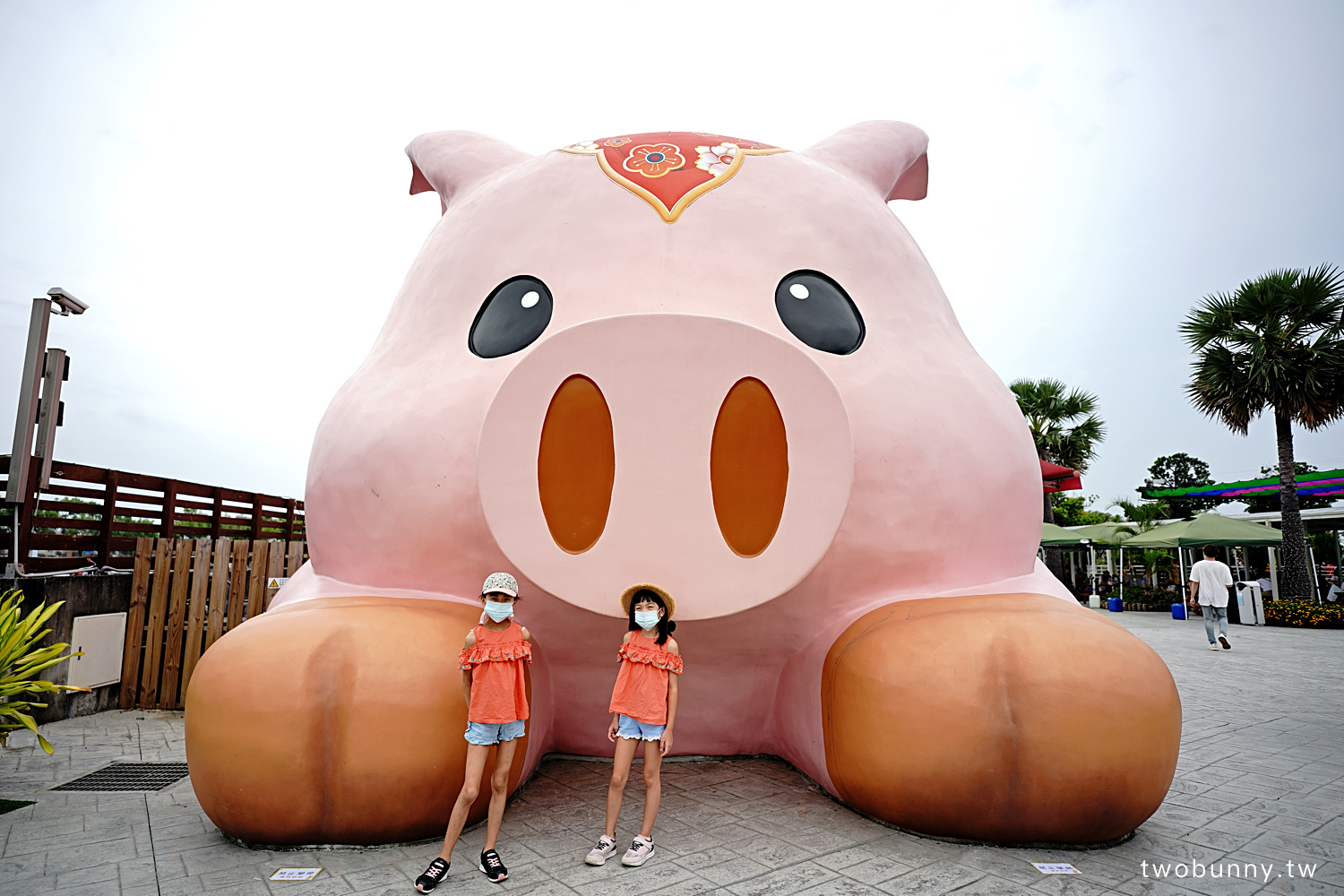 【三隻小豬觀光農場】嘉義民雄親子景點推薦・水豚梅花鹿餵食體驗與童話風拍照亮點 @兔兒毛毛姊妹花