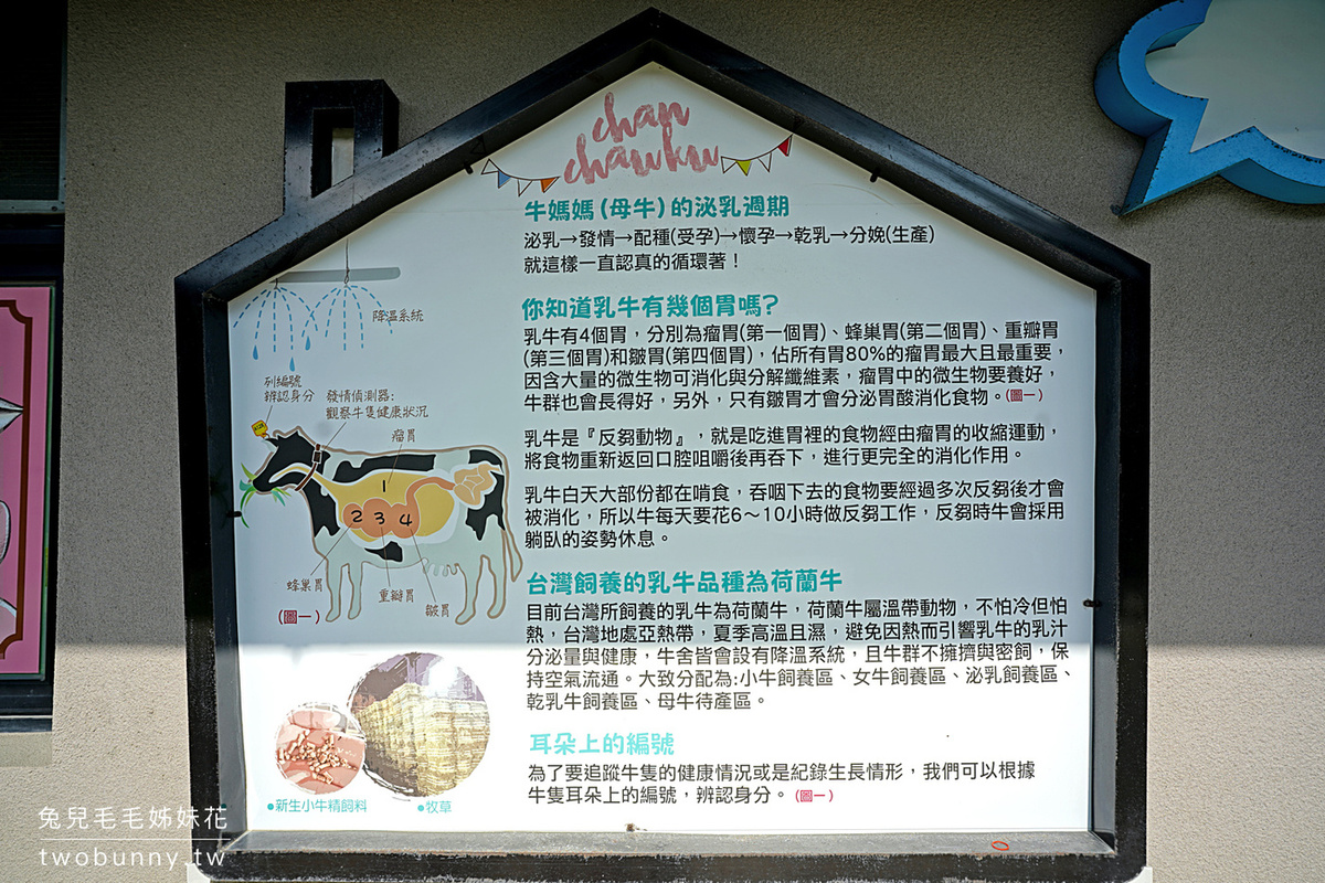 雲林親子景點【千巧谷牛樂園牧場】免費餵乳牛、玩沙坑、拍彩繪牆～超好玩免費景點！ @兔兒毛毛姊妹花