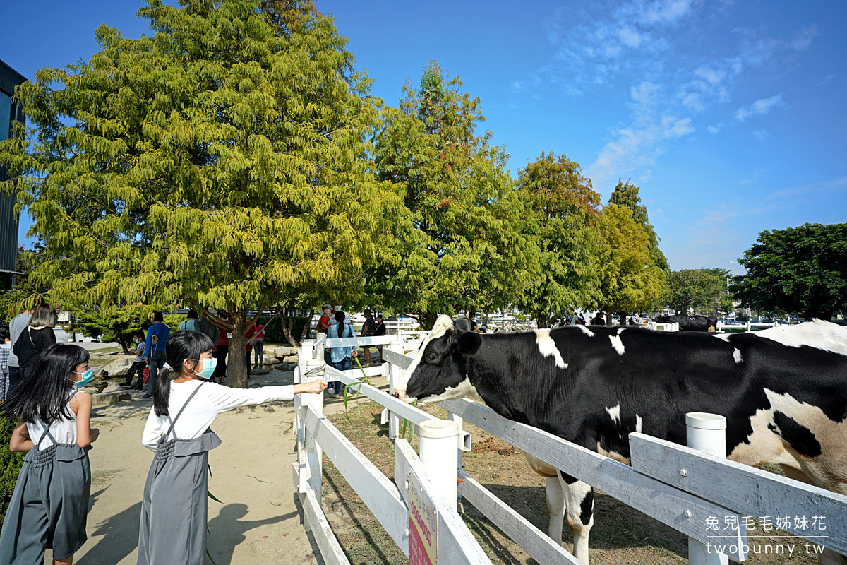 雲林親子景點【千巧谷牛樂園牧場】免費餵乳牛、玩沙坑、拍彩繪牆～超好玩免費景點！ @兔兒毛毛姊妹花