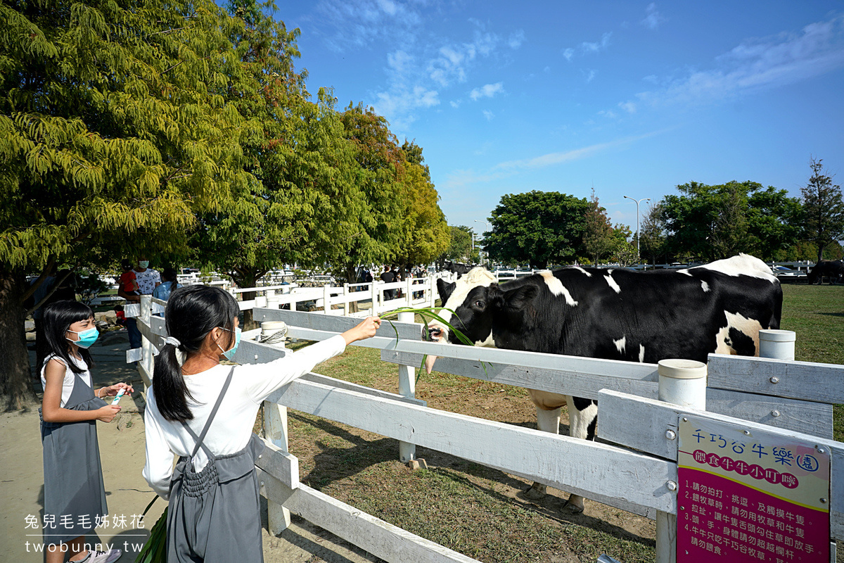 雲林親子景點【千巧谷牛樂園牧場】免費餵乳牛、玩沙坑、拍彩繪牆～超好玩免費景點！ @兔兒毛毛姊妹花