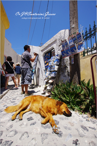 [2010 Greece] 。第十七章。走進 Megalochori 小徑，尋找藍頂教堂 @兔兒毛毛姊妹花