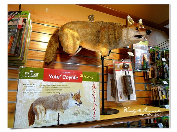 [2009 Minnesota] 打獵季節~Cabela&rsquo;s 獵具店賣什麼?? @兔兒毛毛姊妹花