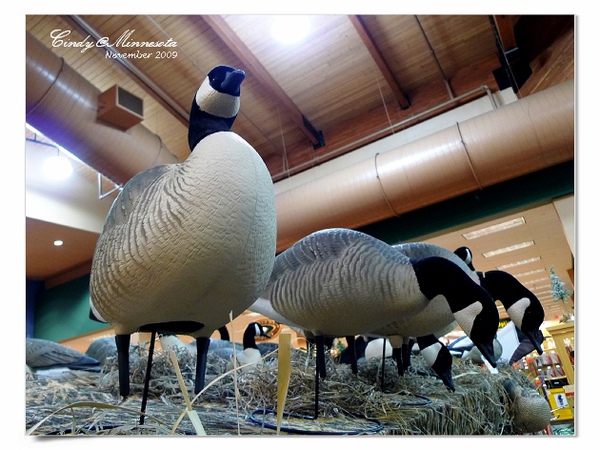 [2009 Minnesota] 打獵季節~Cabela&rsquo;s 獵具店賣什麼?? @兔兒毛毛姊妹花