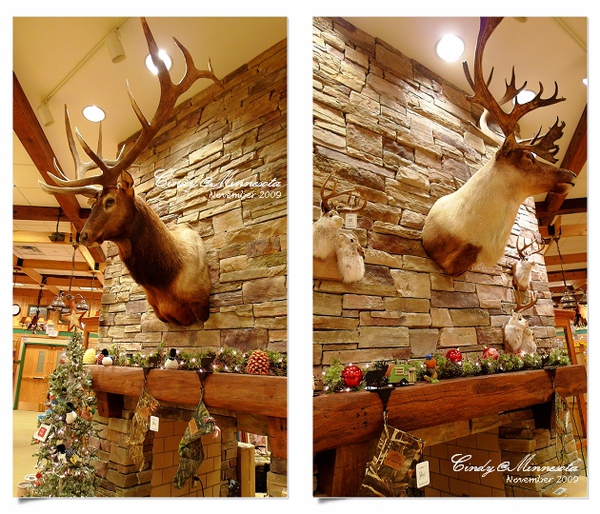 [2009 Minnesota] 打獵季節~Cabela&rsquo;s 獵具店賣什麼?? @兔兒毛毛姊妹花