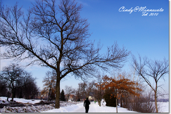 [2010 Minnesota] Lake Calhoun 湖上漫步 @兔兒毛毛姊妹花