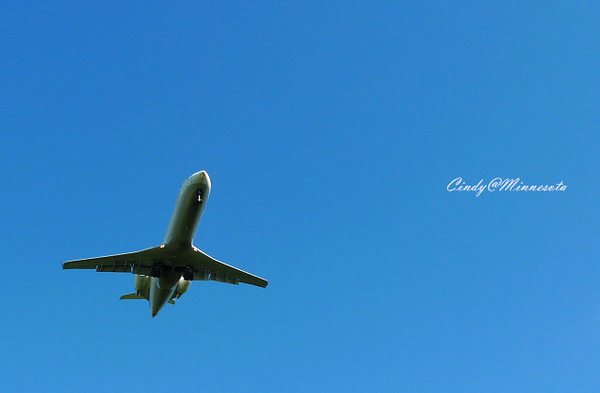 Next Plane Home @兔兒毛毛姊妹花
