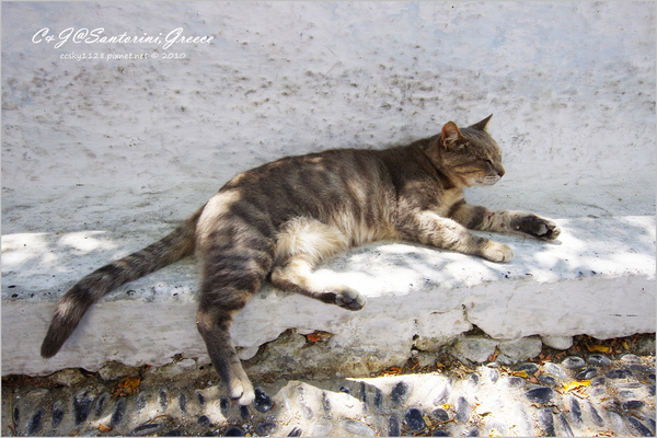 [2010 Greece] 。第十七章。走進 Megalochori 小徑，尋找藍頂教堂 @兔兒毛毛姊妹花